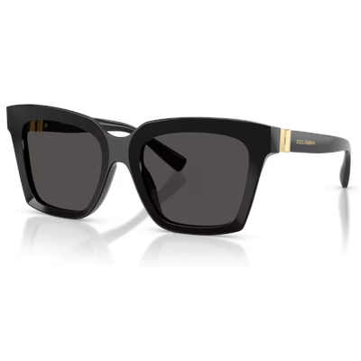 Dolce & Gabbana DG4498 Sunglasses